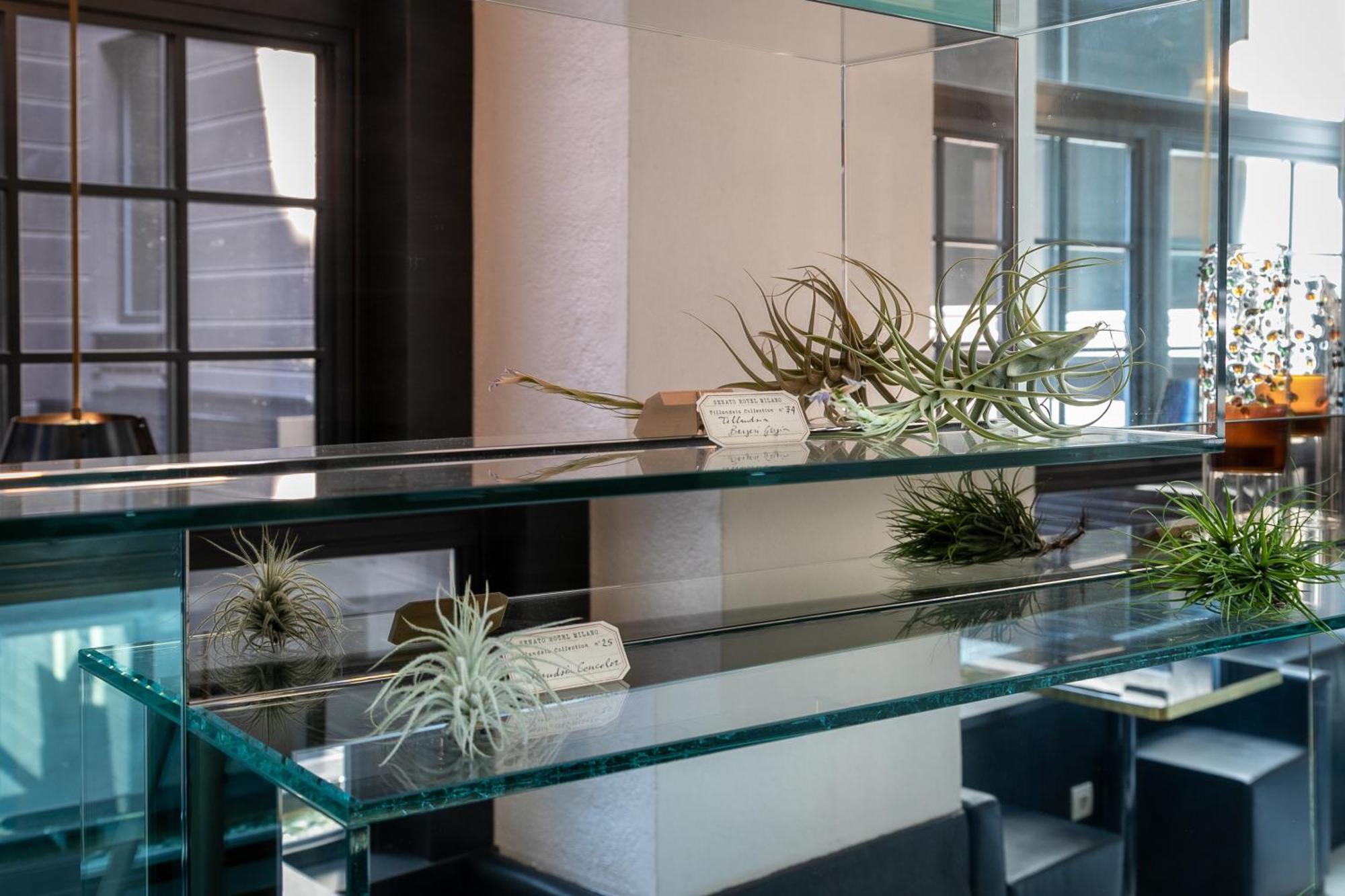 Senato Hotel Milano Exterior photo